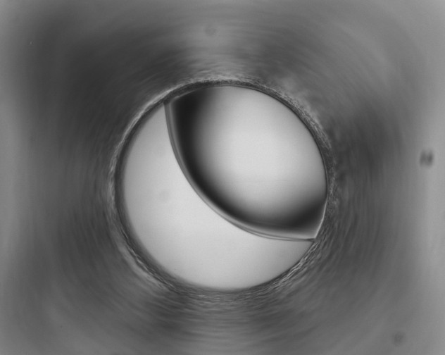 X0000097950108200803241027