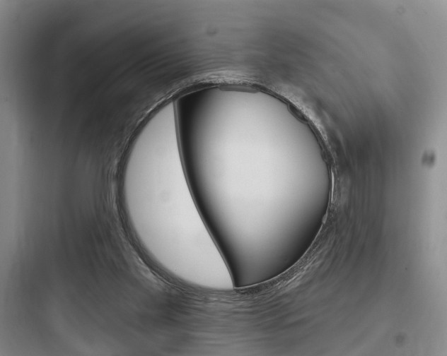 X0000097950109200803241027