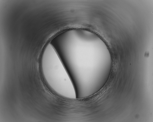 X0000097950111200803241027