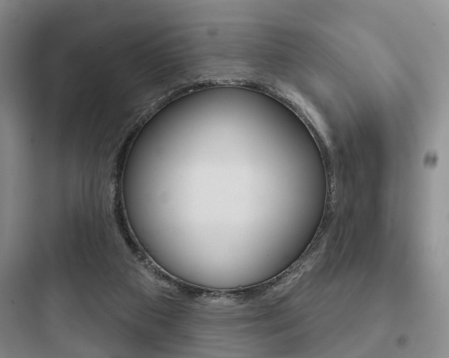 X0000097950113200803241027
