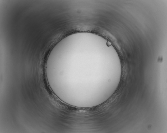X0000097950114200803241027