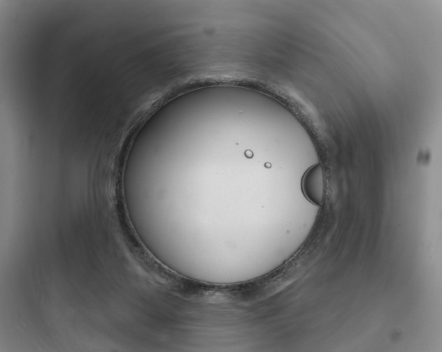 X0000097950115200803241027