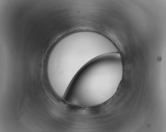 X0000097950116200803241027
