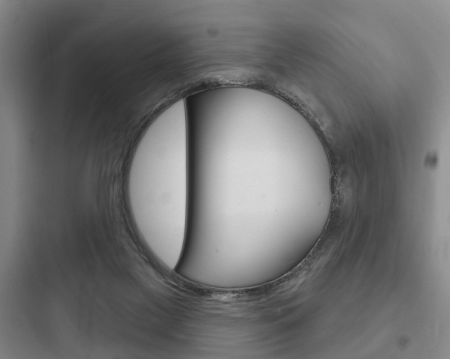 X0000097950117200803241027