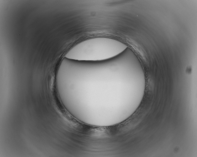 X0000097950118200803241027