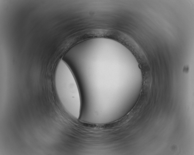 X0000097950119200803241027