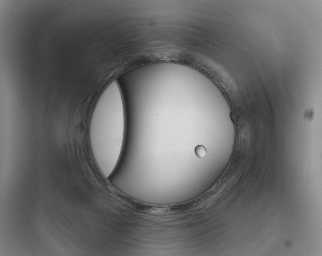 X0000097950121200803241027