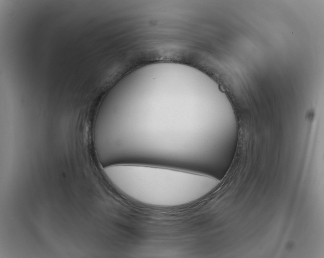 X0000097950123200803241027