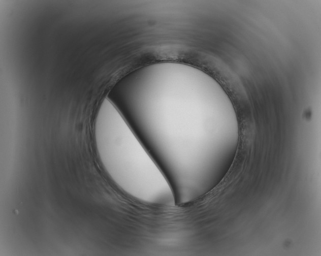 X0000097950125200803241027