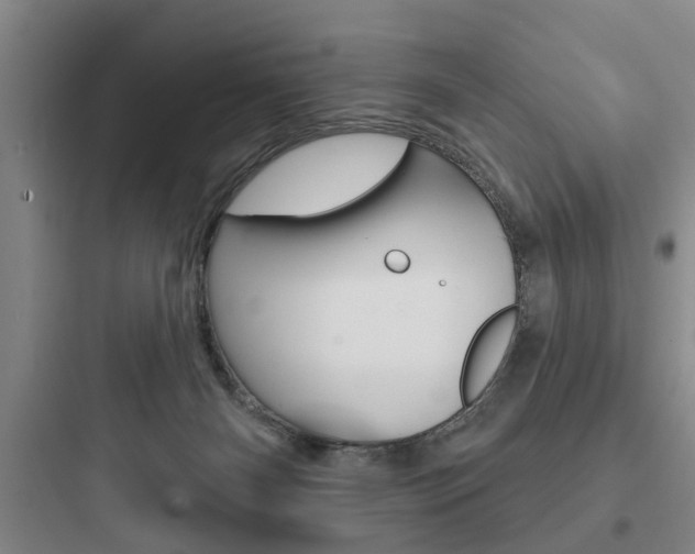 X0000097950126200803241027