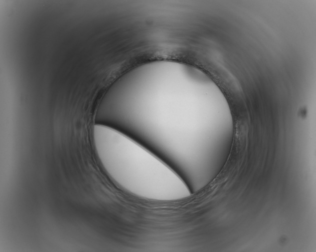 X0000097950127200803241027