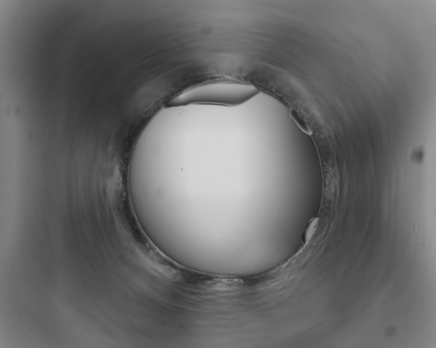 X0000097950128200803241027