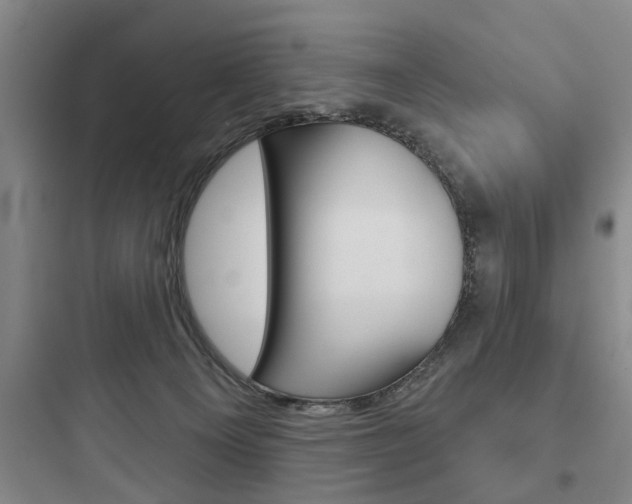 X0000097950129200803241027