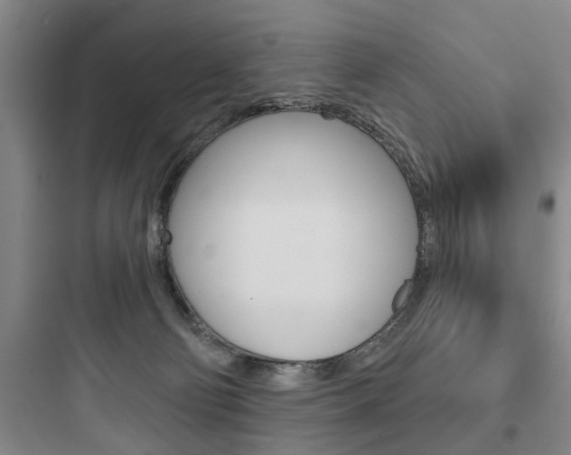 X0000097950130200803241027