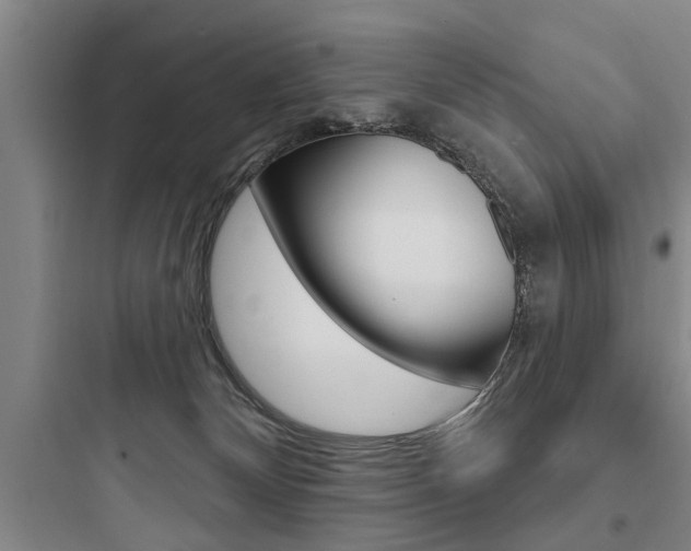 X0000097950132200803241027