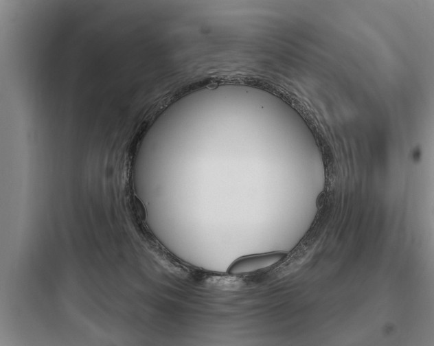 X0000097950133200803241027