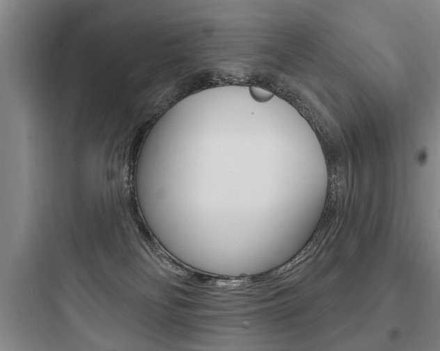 X0000097950134200803241027