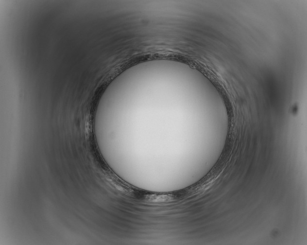 X0000097950135200803241027