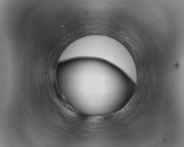 X0000097950136200803241027