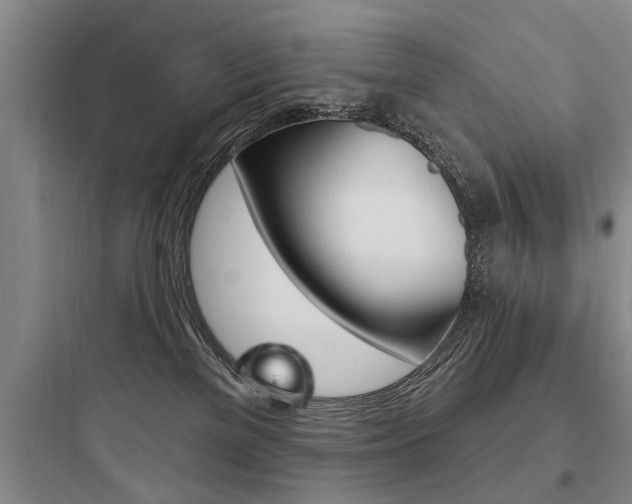 X0000097950137200803241027