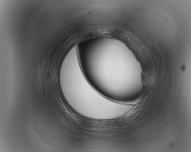 X0000097950140200803241027