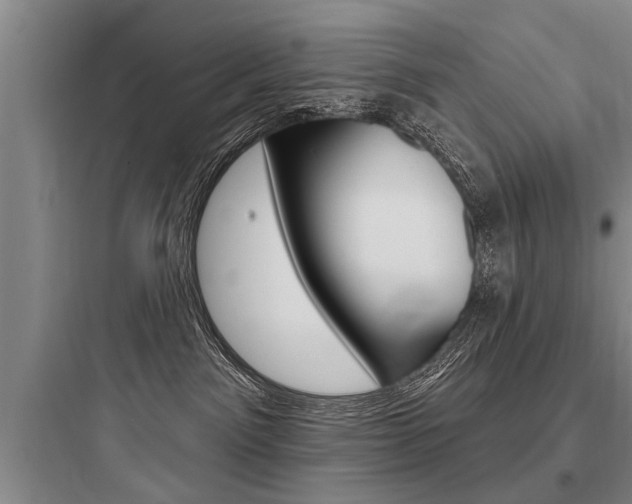 X0000097950141200803241027