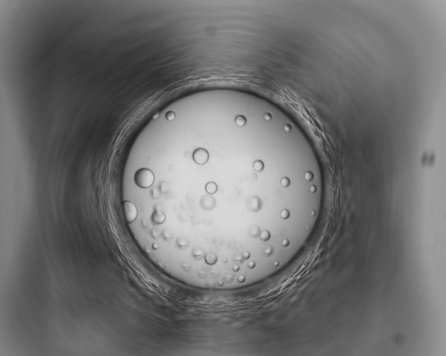 X0000097950145200803241026