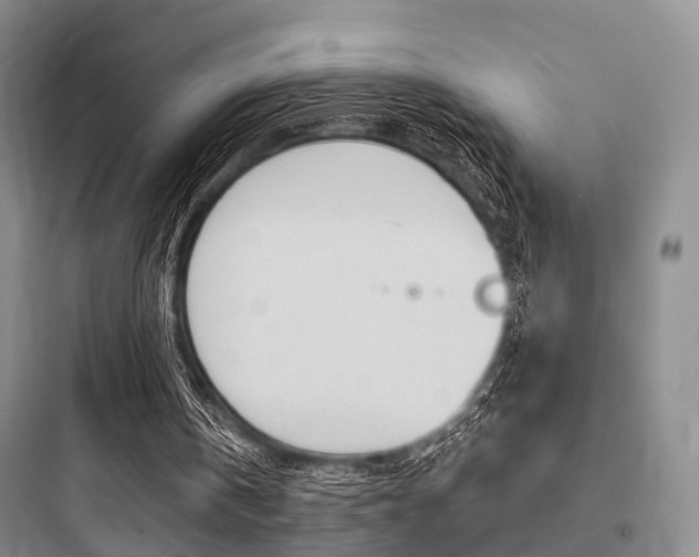 X0000097950146200803241026