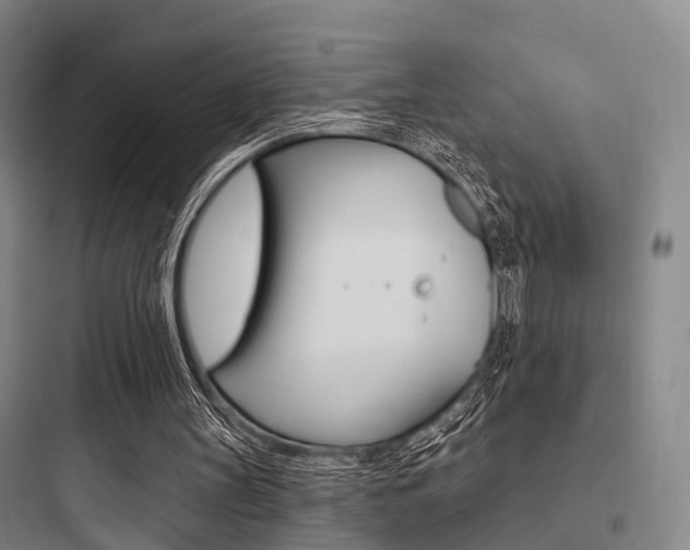 X0000097950147200803241026