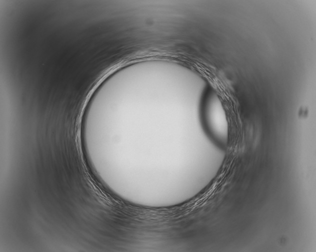 X0000097950148200803241026