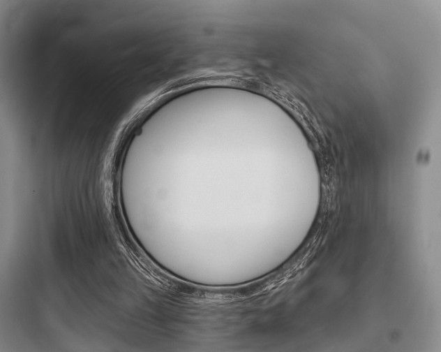X0000097950149200803241026