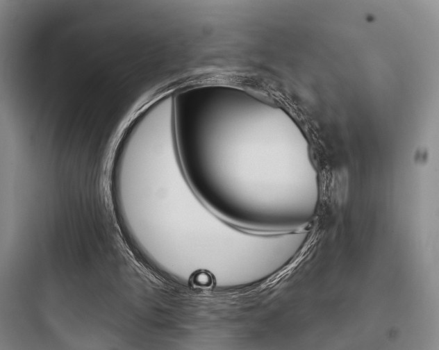 X0000097950150200803241026