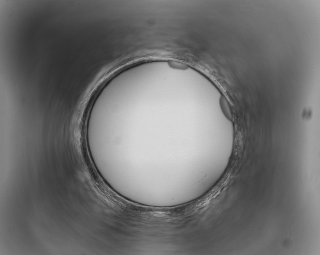 X0000097950151200803241026