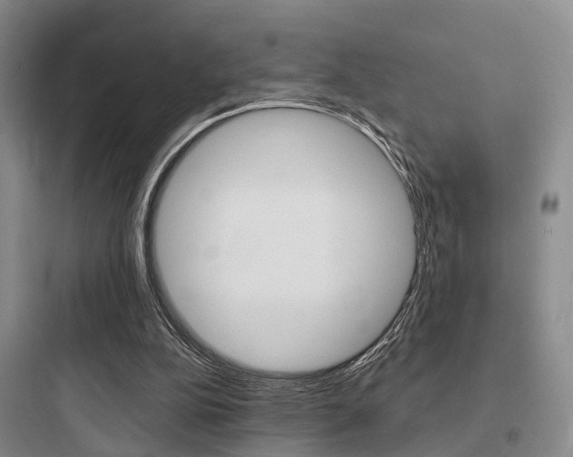 X0000097950152200803241026
