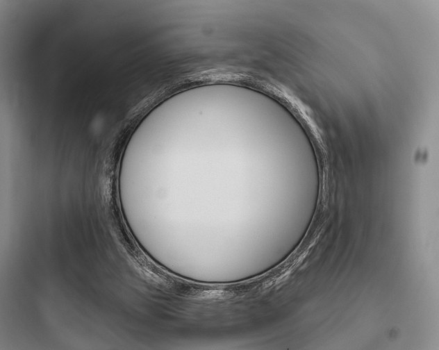 X0000097950153200803241026