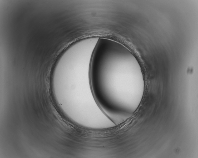 X0000097950154200803241026