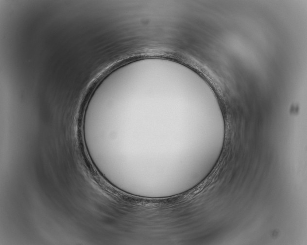 X0000097950155200803241026