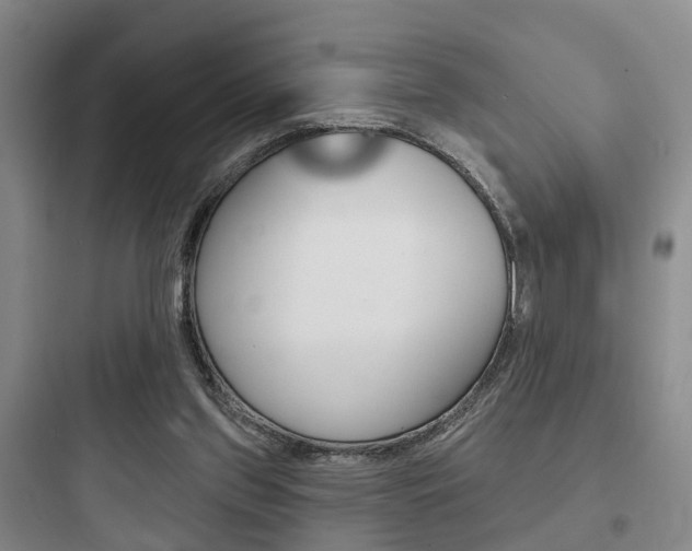 X0000097950157200803241026