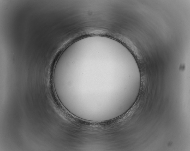 X0000097950159200803241026