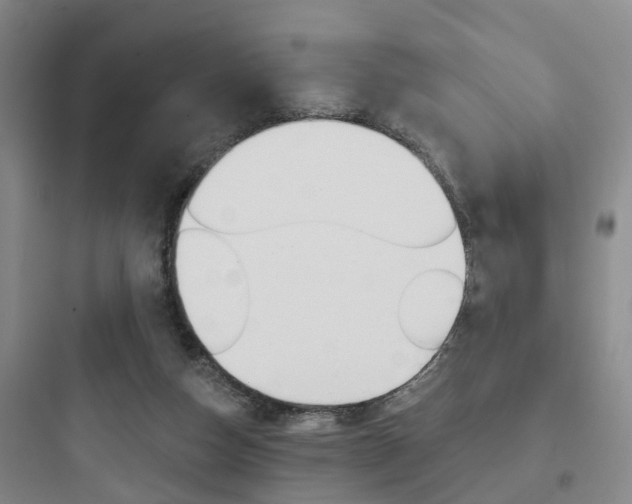 X0000097950162200803241026