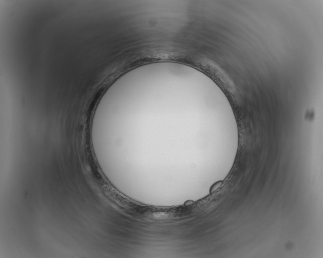 X0000097950163200803241026