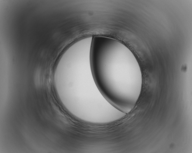 X0000097950164200803241026