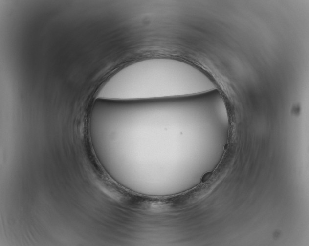 X0000097950165200803241026