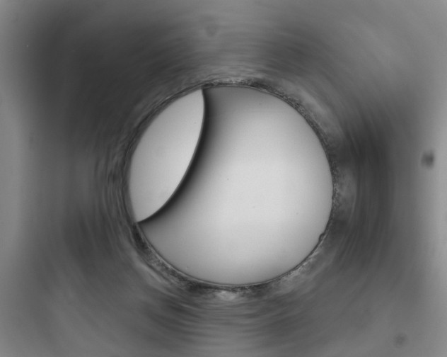 X0000097950166200803241026