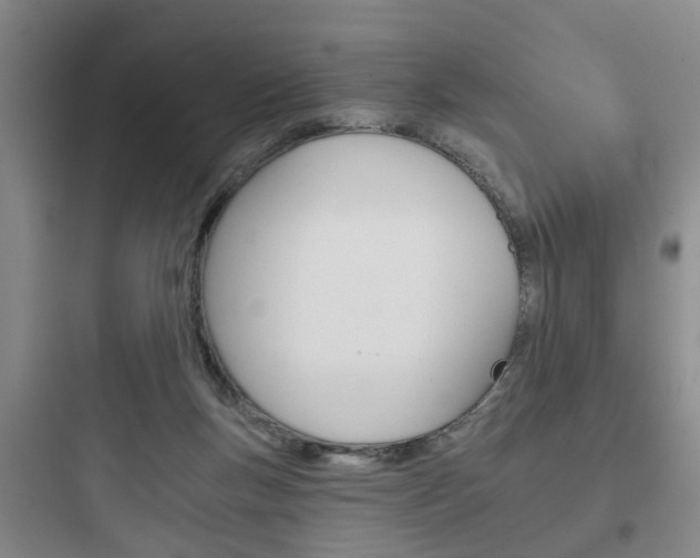 X0000097950167200803241026