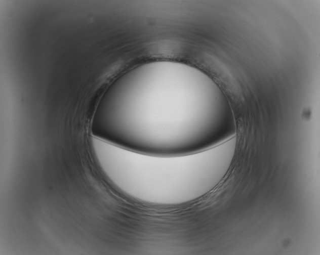 X0000097950168200803241026
