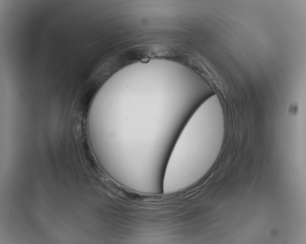 X0000097950169200803241026