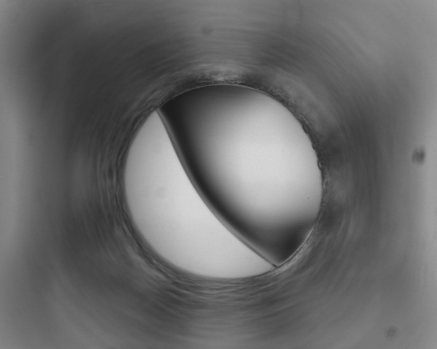 X0000097950170200803241026