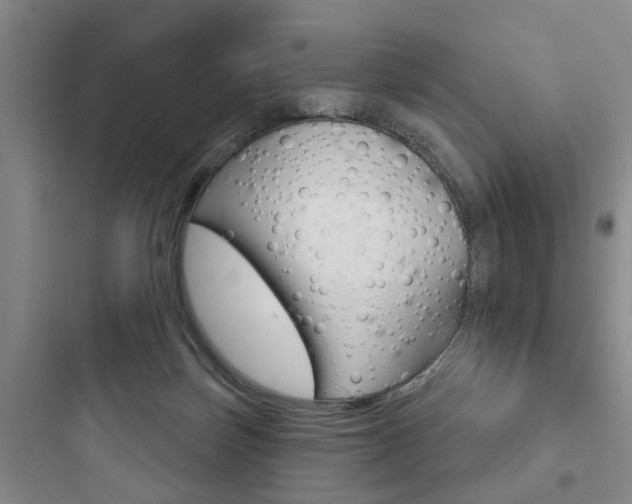 X0000097950171200803241026