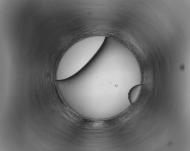 X0000097950173200803241027